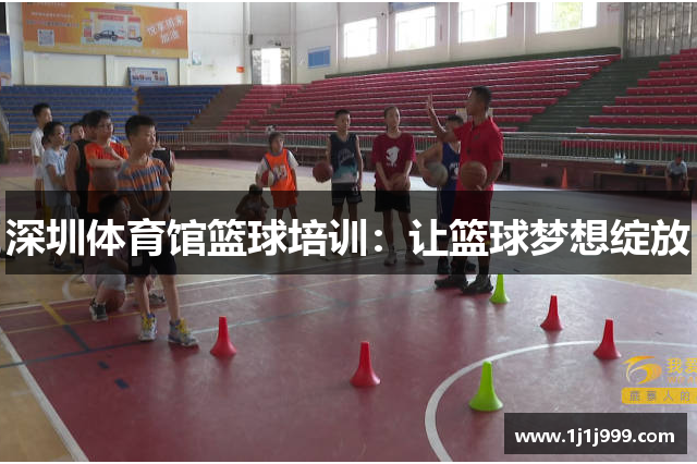 深圳体育馆篮球培训：让篮球梦想绽放